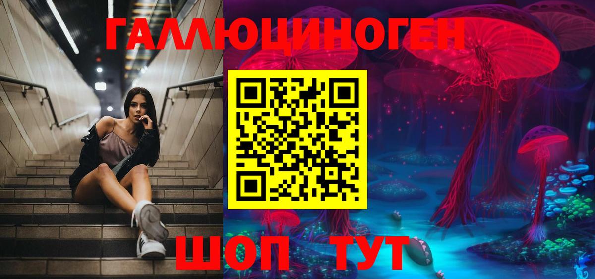 Галлюциногенные грибы Psilocybe Котлас